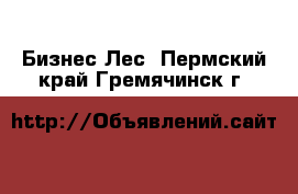 Бизнес Лес. Пермский край,Гремячинск г.